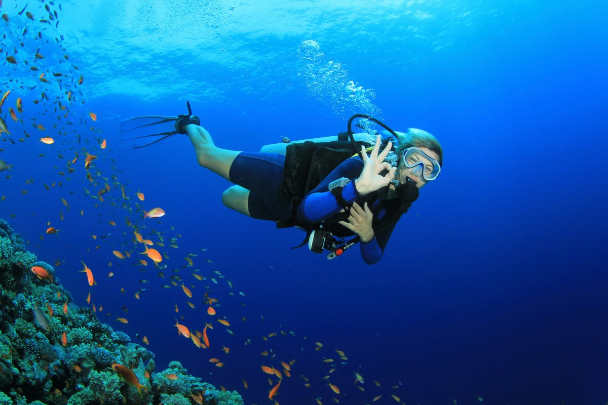 PV1nk7I7-Best-places-to-go-scuba-diving-in-the-UAE-1-1200x800